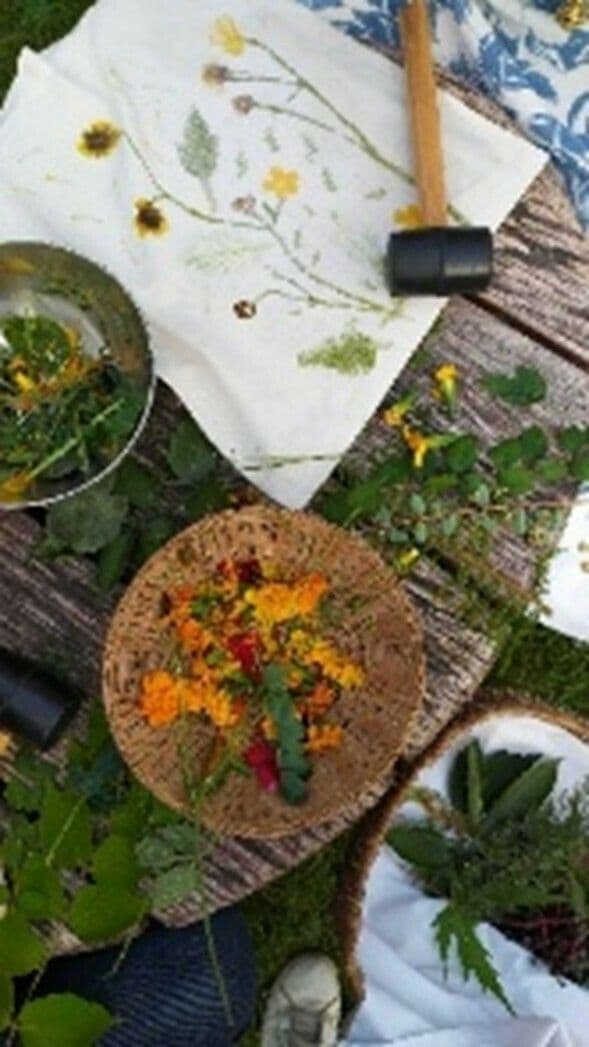 Illustration de l'événement : COMPLET Atelier d’été : de la nature à l’empreinte végétale (tataki-zomé)