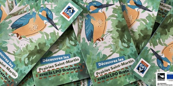 Illustration de l'événement : Jeux nature aux Prairies Saint-Martin