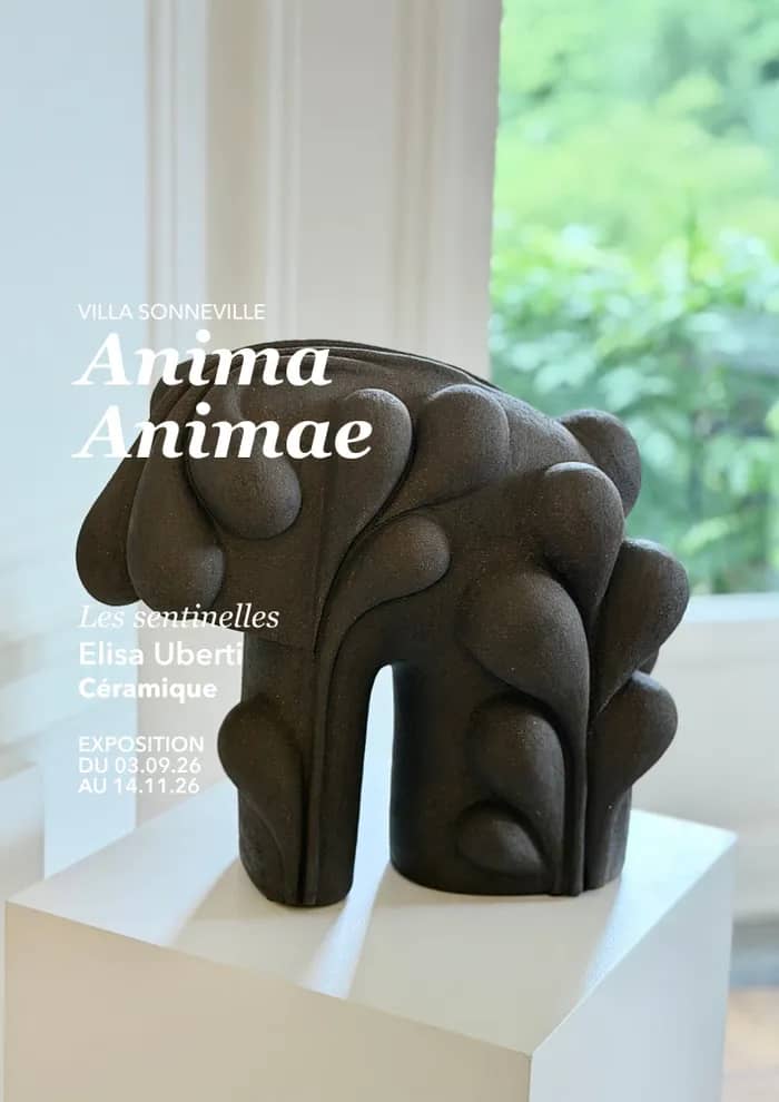 Illustration de l'événement : Anima, Animae