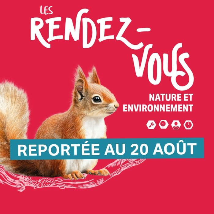 Illustration de l'événement : Balade nocturne