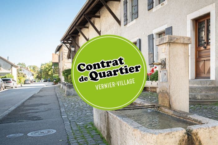 Illustration de l'événement : Vide-greniers de Vernier Village