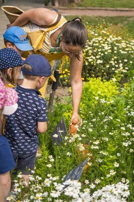 Illustration de l'événement : Atelier "Le Jardin des tout-petits"