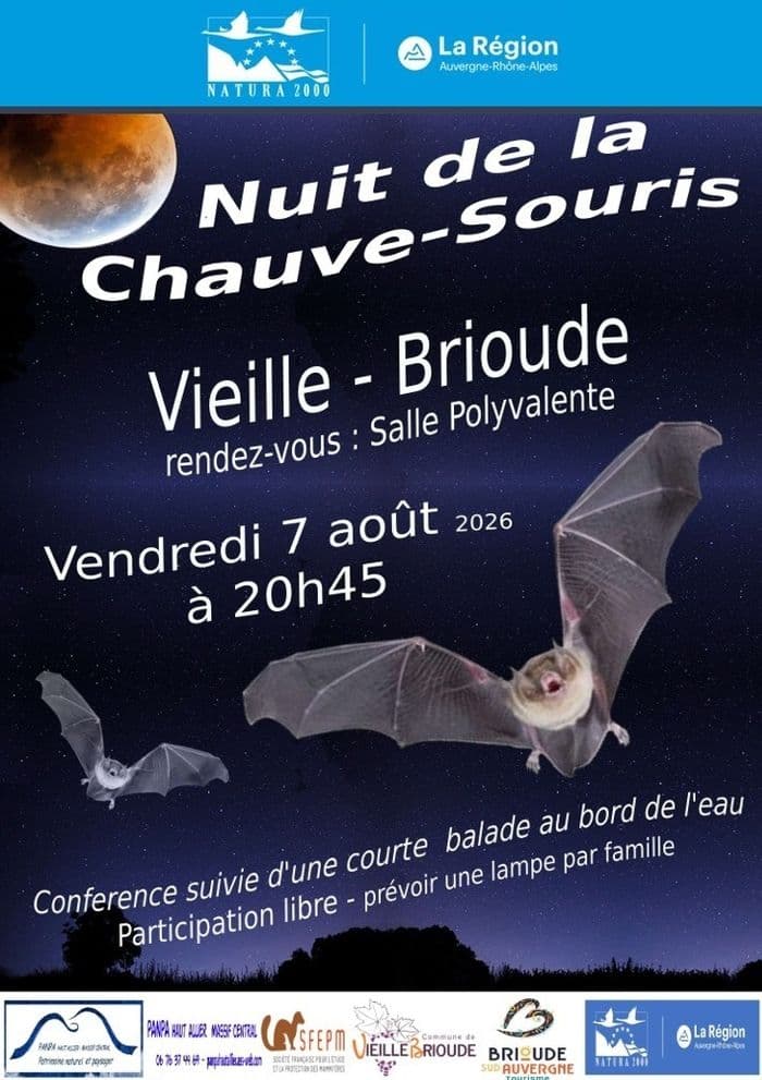 Illustration de l'événement : Nuit de la chauve-souris à Vieille Brioude