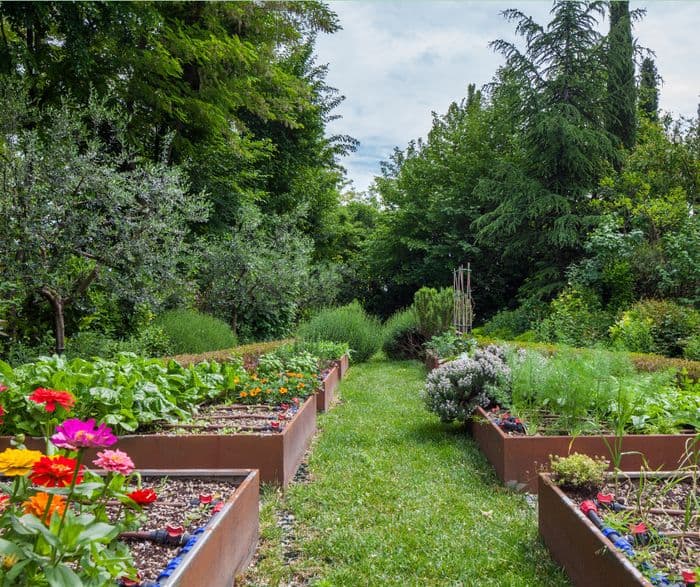 Illustration de l'événement : Conférence - Concevoir son jardin nourricier
