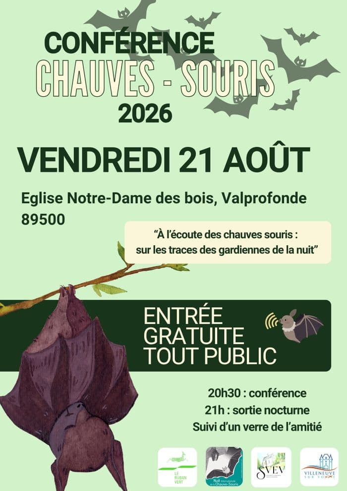 Illustration de l'événement : À l’écoute des chauves-souris : sur les traces des gardiennes de la nuit