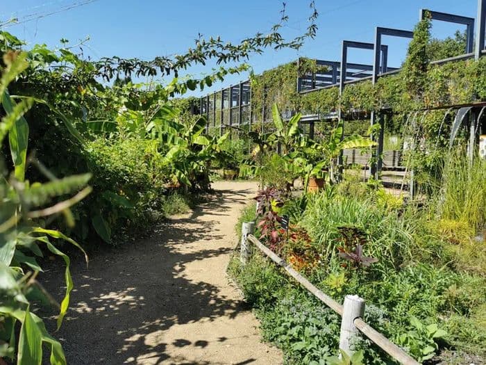 Illustration de l'événement : Journées Européennes du Patrimoine aux Jardins du Muséum à Borderouge
