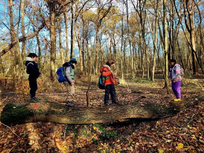 Illustration de l'événement : "Mercredi j'ai forêt !" à Meudon