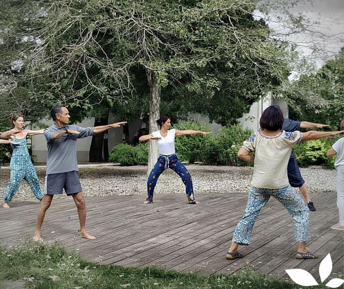 Illustration de l'événement : Qi Gong en plein air