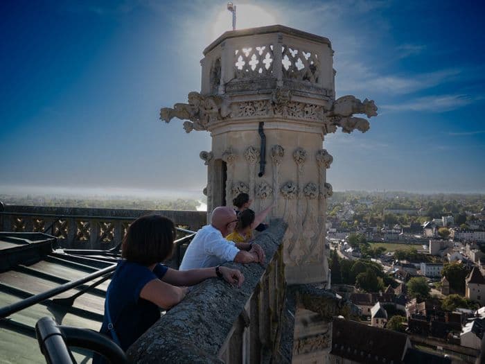 Illustration de l'événement : Visite guidée : Tour de la Cathédrale