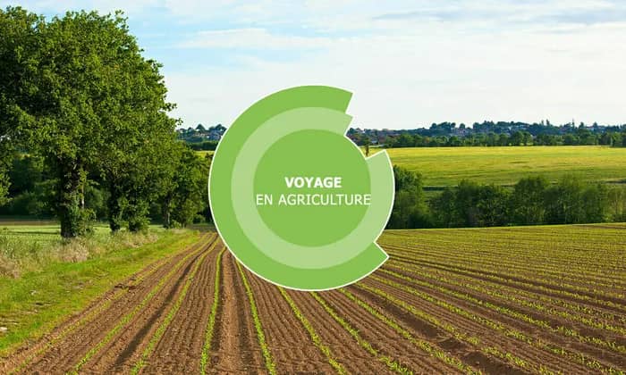 Illustration de l'événement : Voyage en agriculture - Viticulture/Agroéquipement - Clisson (44)