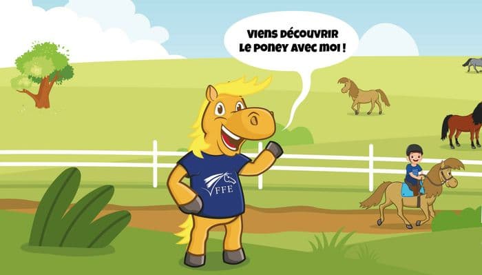 Illustration de l'événement : stage découverte du poney