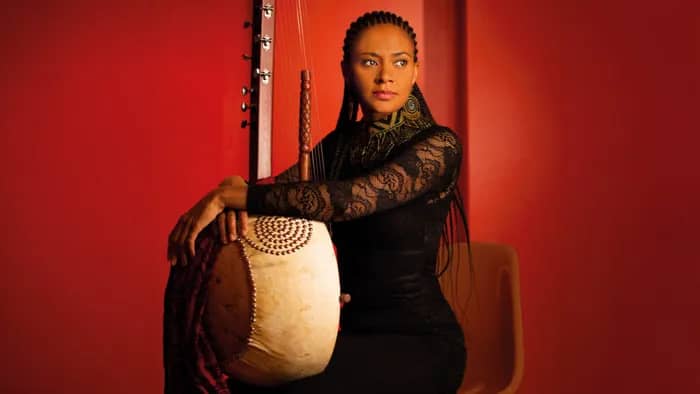 Illustration de l'événement : Sona Jobarteh (UK / GAMBIE) + Siân Pottok (BEL / USA / FR)