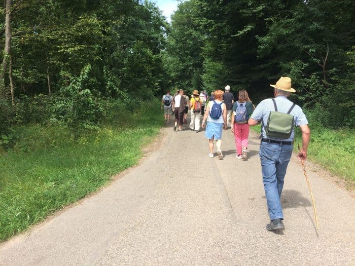 Illustration de l'événement : Mercredi à la campagne.