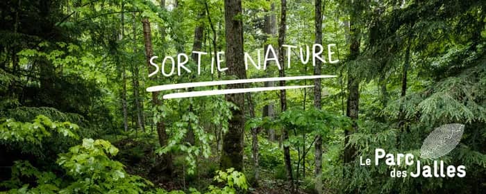 Illustration de l'événement : Balade nature du Parc des Jalles : Atelier nature pour les petits