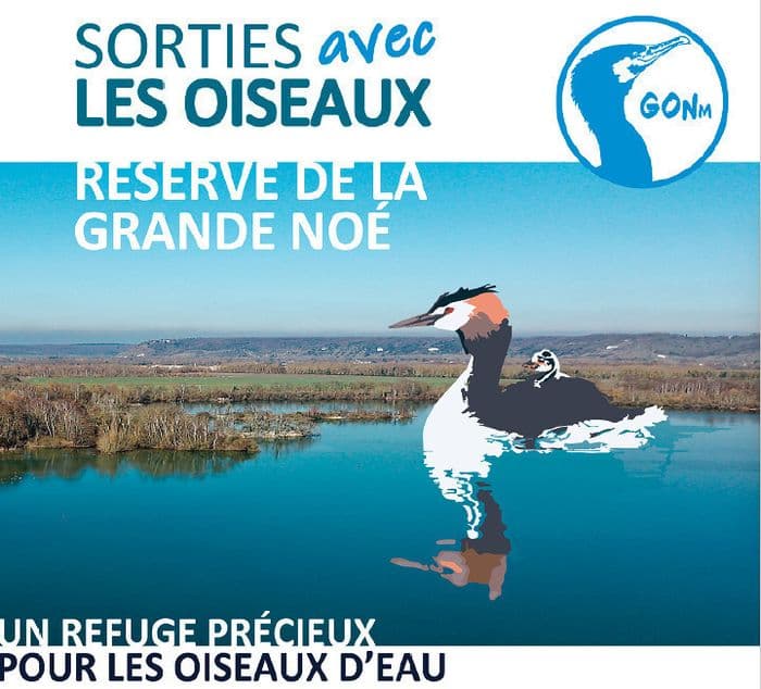 Illustration de l'événement : VAL de REUIL 27 : Animation ornithologique du GONm