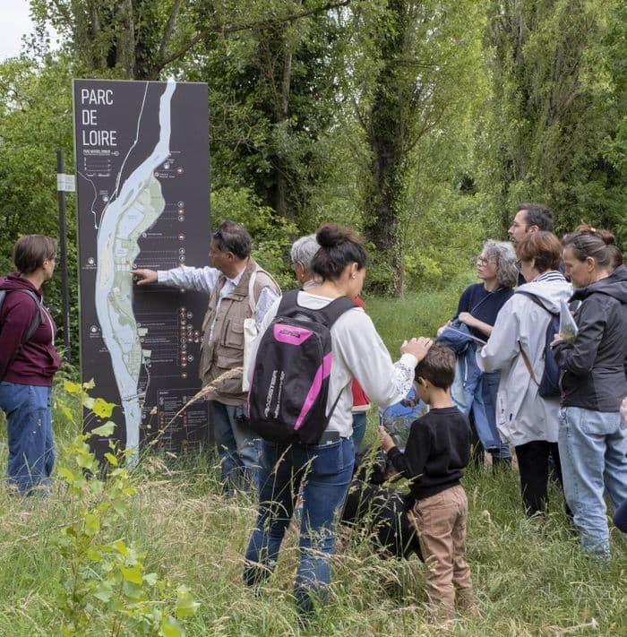 Illustration de l'événement : Balade découverte de la biodiversité du parc de Loire