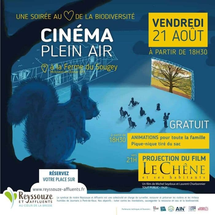 Illustration de l'événement : CINÉMA PLEIN AIR : Le Chêne et ses habitants