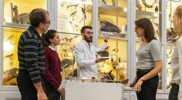 Illustration de l'événement : Journées Européennes du Patrimoine et du Matrimoine à Bordeaux