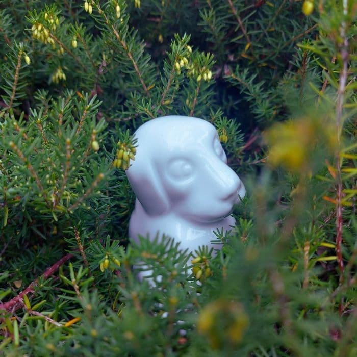 Illustration de l'événement : Mes premiers pas au musée - Mon merveilleux jardin de porcelaine