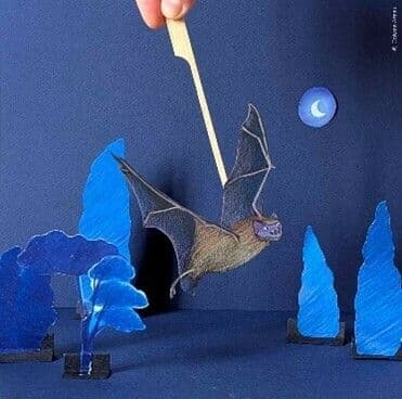Illustration de l'événement : Atelier d’été : Théâtre de papier, les chauve souris en scène !