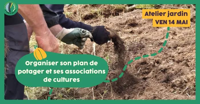 Illustration de l'événement : Atelier jardin : Organiser son plan de potager et ses associations de cultures
