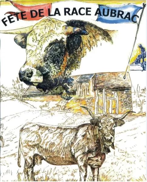 Illustration de l'événement : Fête de la race Aubrac