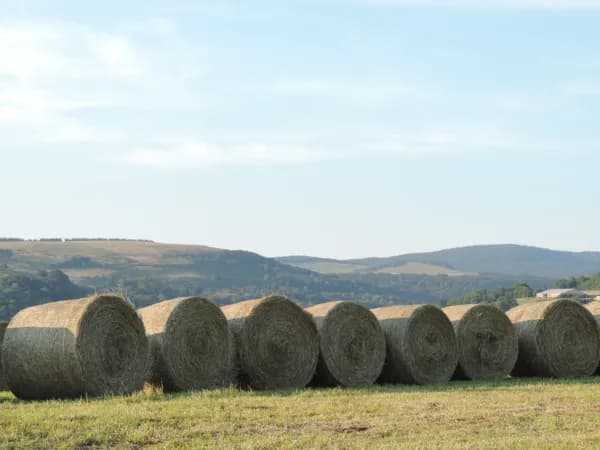 Illustration de l'événement : Rencontre : "le réchauffement climatique : quelle agriculture pour demain ?", à Aubrac