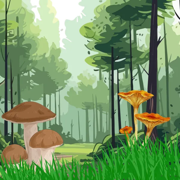 Illustration de l'événement : Semaine de la biodiversité : Théâtre "Au Pied de mon arbre"