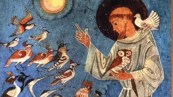 Illustration de l'événement : Festival Semaine d'Orgue : LE CONCERT DES OISEAUX Francesco d'Assisi