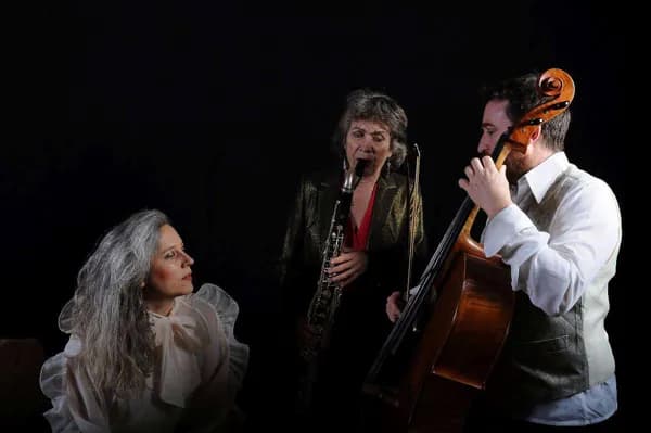 Illustration de l'événement : Labyrinthe musical en Rouergue - Zafrani Trio