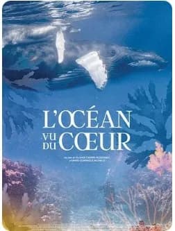 Illustration de l'événement : Cinéma : "L'Océan vu du cœur"
