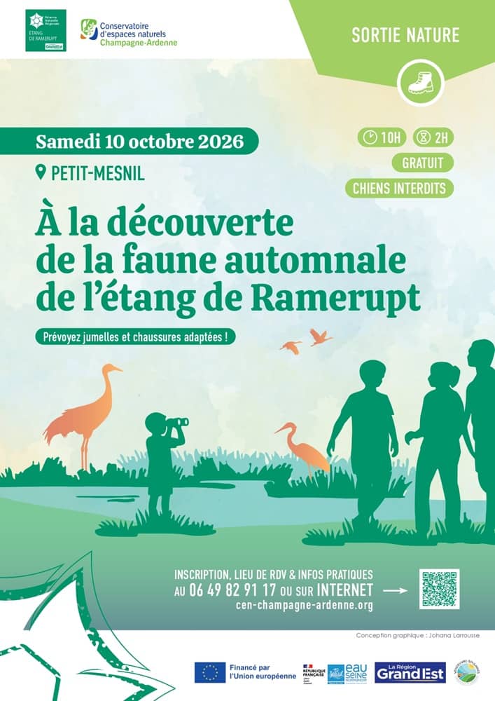 Illustration de l'événement : À la découverte de la faune automnale de l'étang de Ramerupt