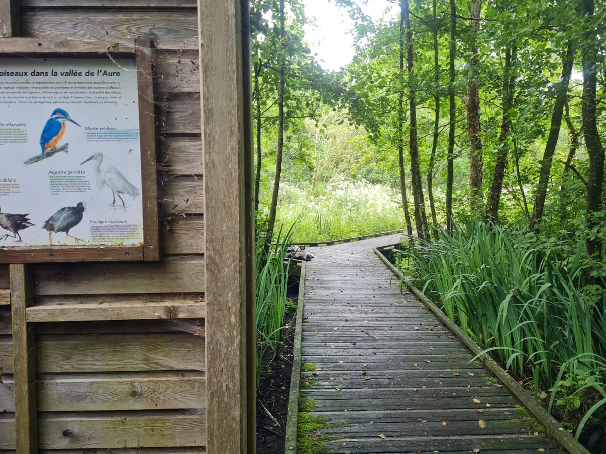 Illustration de l'événement : La richesse faunistique du marais de la vallée de l’Aure