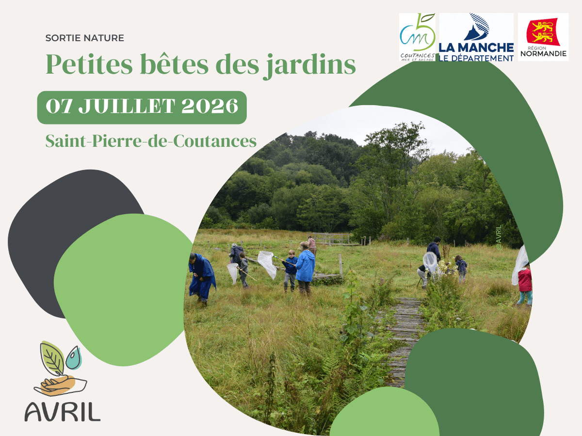 Illustration de l'événement : Petites bêtes des jardins