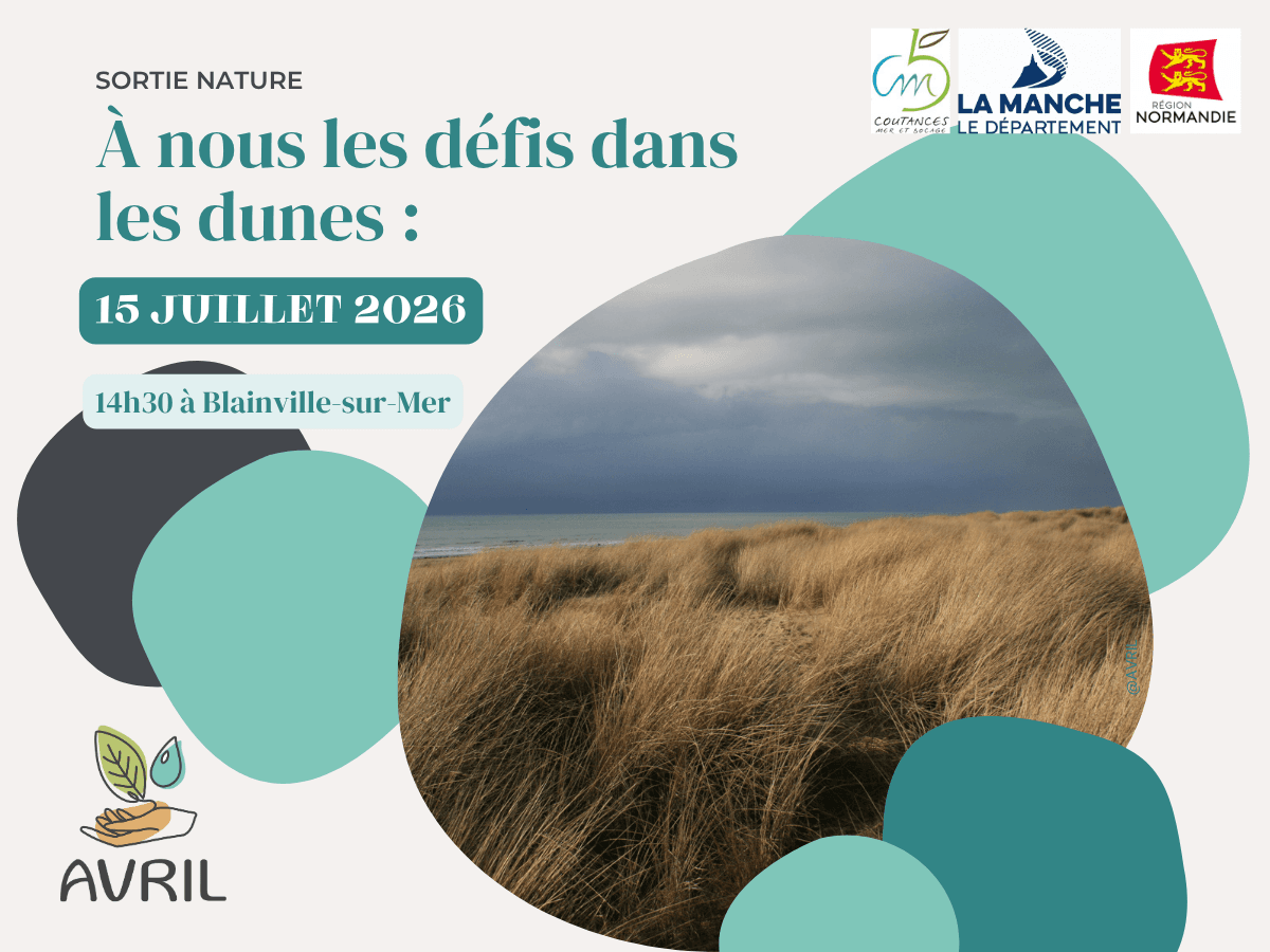 Illustration de l'événement : A nous les défis dans les dunes !
