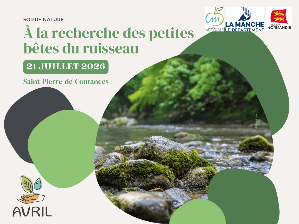 Illustration de l'événement : A la recherche des petites bêtes du ruisseau