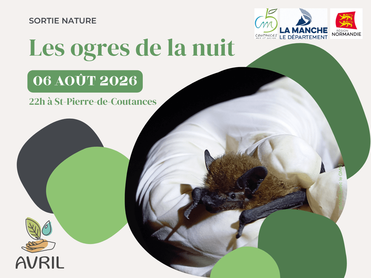 Illustration de l'événement : Les ogres de la nuit