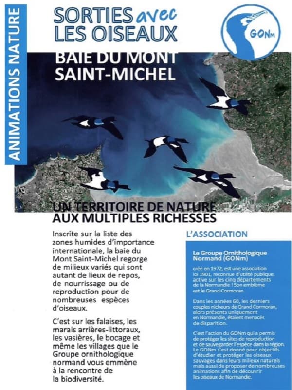 Illustration de l'événement : Promenade ornithologique entre baie, bocage et marais