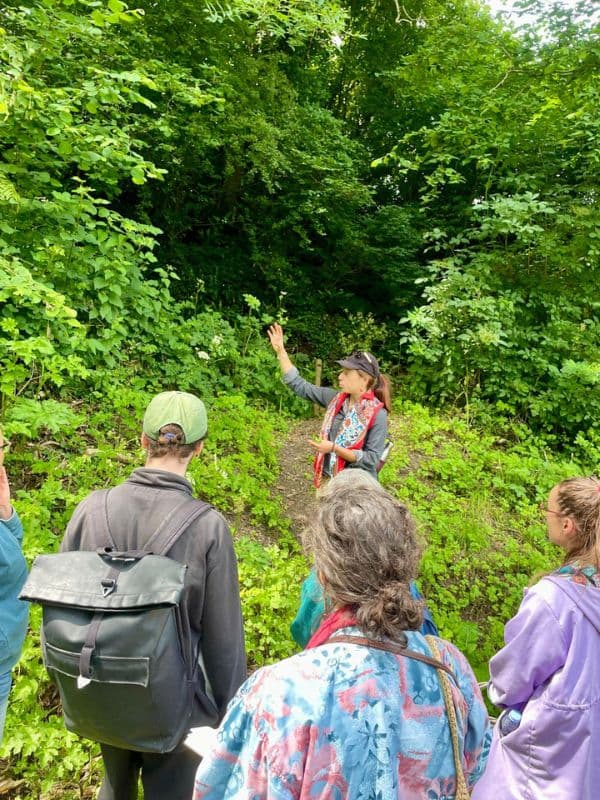 Illustration de l'événement : Balade guidée sur l'histoire du bocage