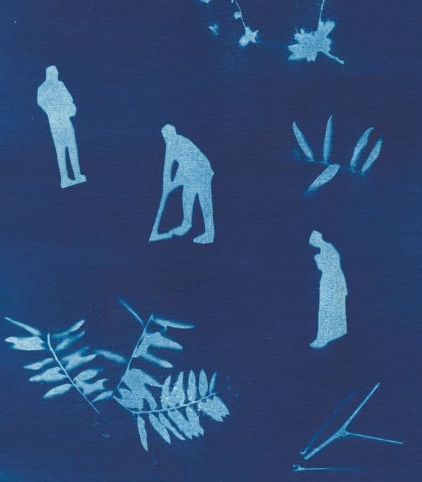 Illustration de l'événement : Un samedi chez Millet : atelier cyanotype (ados et adultes)