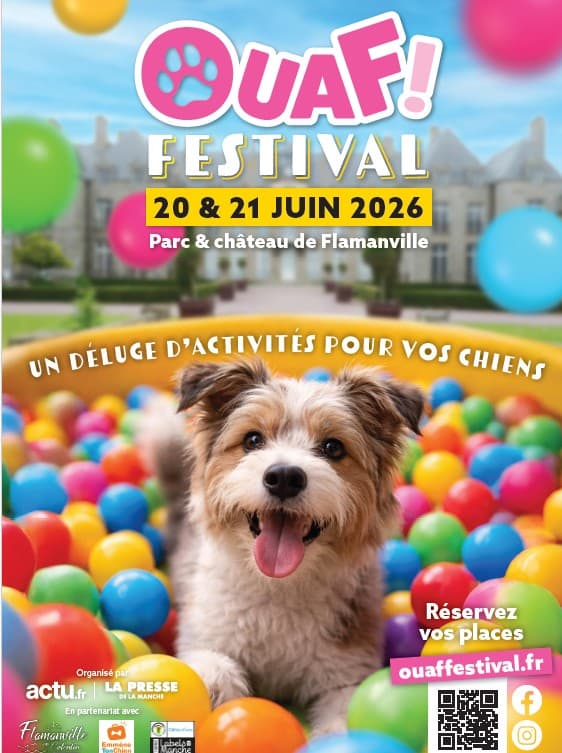 Illustration de l'événement : Ouaf ! festival