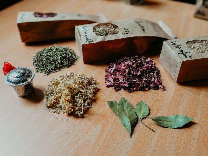 Illustration de l'événement : Atelier-nature (3-5 ans) : l'univers des plantes
