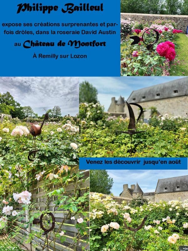 Illustration de l'événement : Ambiance et Atelier expose dans la roseraie David Austin