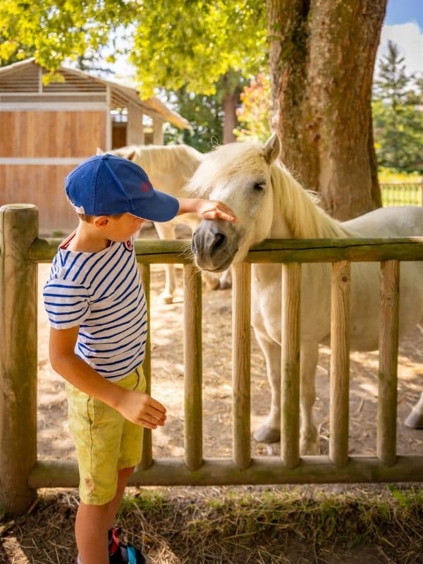 Illustration de l'événement : Balades à poney > Haras National