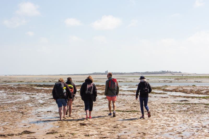 Illustration de l'événement : Traversée à pied et visite commentée de l'île Tatihou
