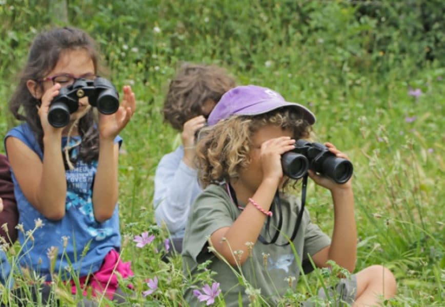 Illustration de l'événement : Atelier-nature (3-5 ans) : à la découverte de oiseaux