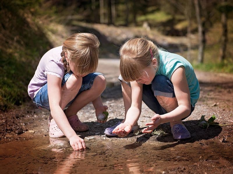 Illustration de l'événement : A la découverte des petites bêtes du ruisseau