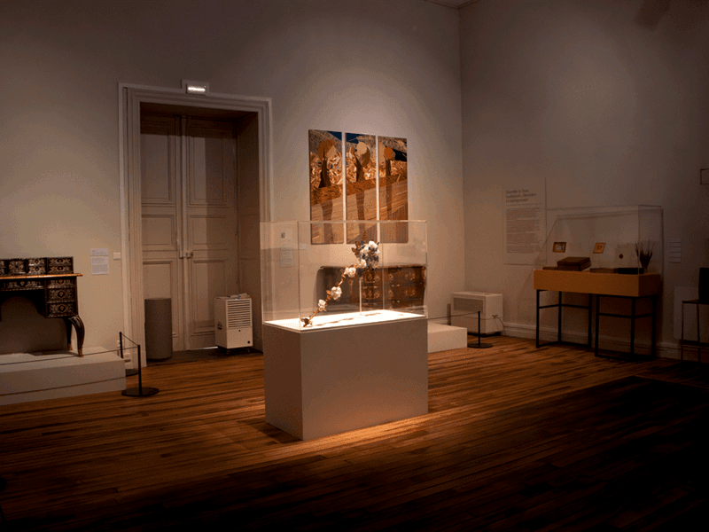 Illustration de l'événement : Exposition - Beaux Gestes ! savoir-faire d’exception XVIIIe – XXIe s.
