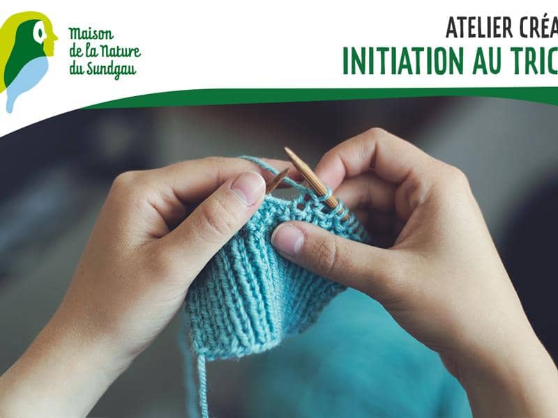 Illustration de l'événement : Atelier créatif - Initiation au tricot - À partir de 6 ans