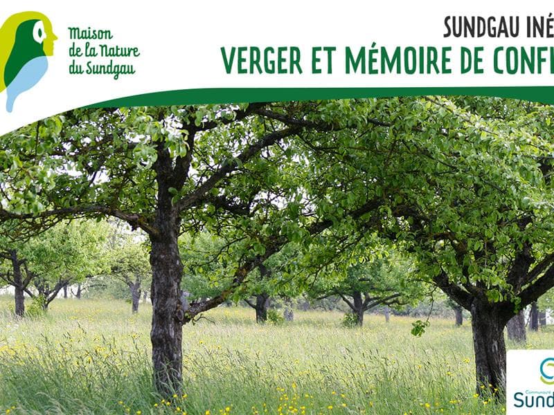 Illustration de l'événement : Verger et mémoire de conflit à Wittersdorf
